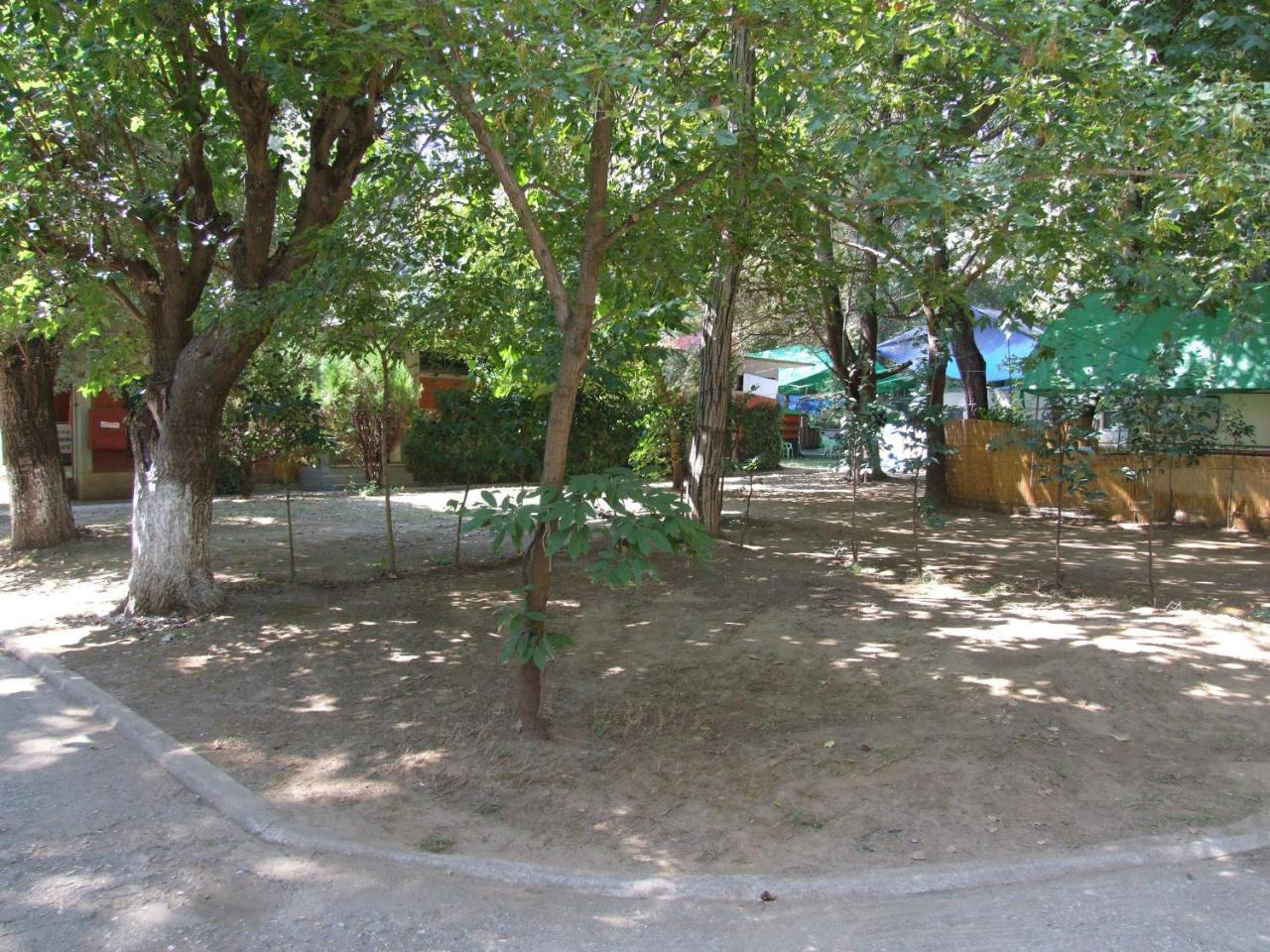 Camping Orpheus Apartments Neos Panteleimonas Exterior photo